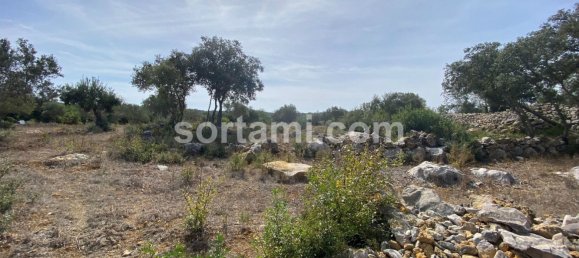  Land in Sao Bras de Alportel, Portugal No. 48735 6