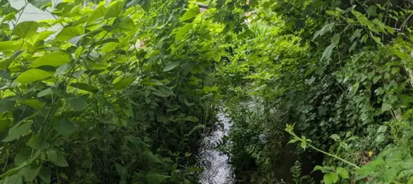 Grundstück in Val-d'Oise, France 1047m², Nr. 324102 3