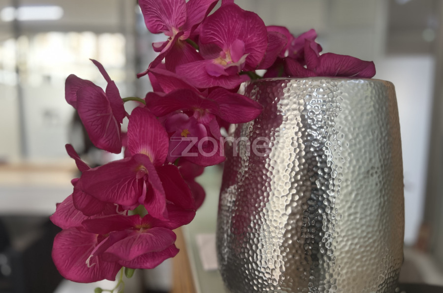 45m² Commercial property in Viana do Castelo, Portugal No. 90723