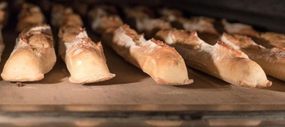 Gewerbliche Immobilie in Gardanne, France, Nr. 309308 3