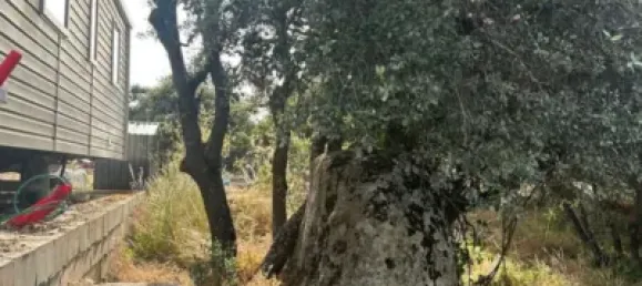 2 Schlafzimmer Haus in Ituero Y Lama, Spain, Nr. 141301 19