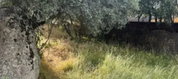 2 Schlafzimmer Haus in Ituero Y Lama, Spain, Nr. 141301 18