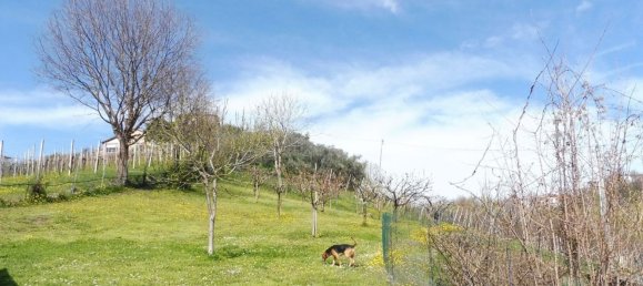 12 bedrooms Villa in Breganze, Italy No. 330656 4