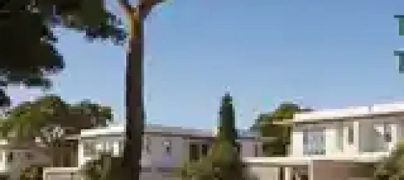 3 chambres Propriété commerciale à Limassol, Cyprus No. 19189 14