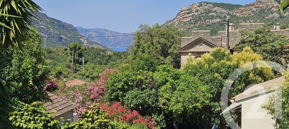 4 bedrooms Villa in Patrimonio, France No. 231175 15