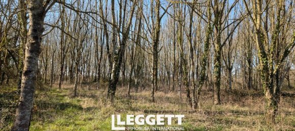 3 chambres Maison à Sarthe, France No. 314278 9