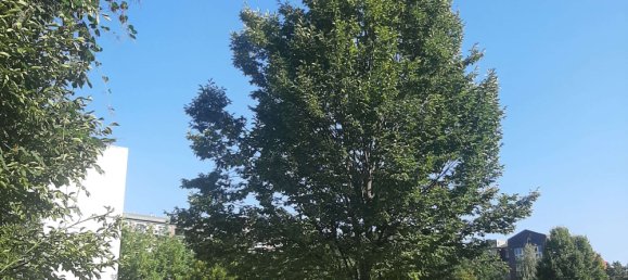 استوديو في Moabit, Germany رقم 343326 9