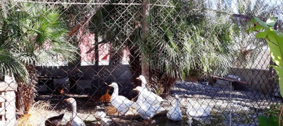 4 bedrooms Villa in Alfaix, Spain No. 2508 29