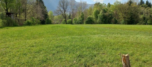 5-Zimmer Villa in Salzburg, Austria, Nr. 157173 10