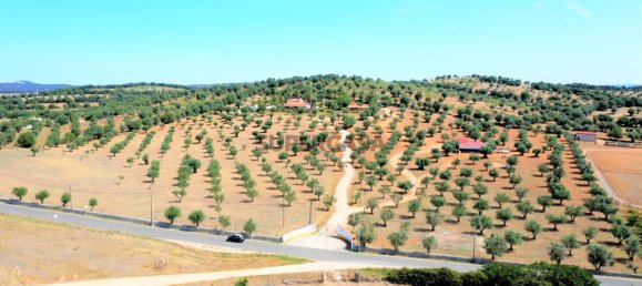 5 Schlafzimmer Haus in Cabeco de Vide, Portugal, Nr. 160277 40