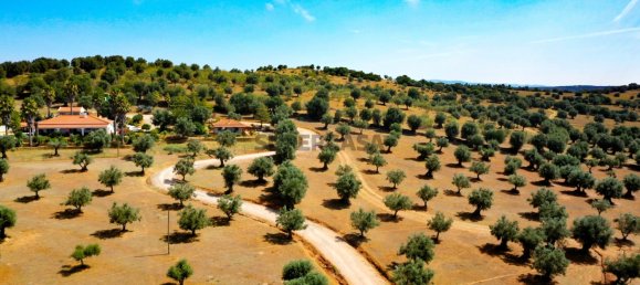 5 Schlafzimmer Haus in Cabeco de Vide, Portugal, Nr. 160277 41