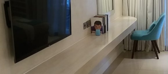 Студия в Пальма Джумейра, ОАЭ № 167 18