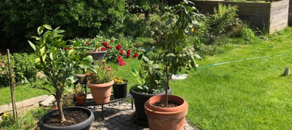 3 Schlafzimmer Stadthaus in Düren, Germany, Nr. 348158 17