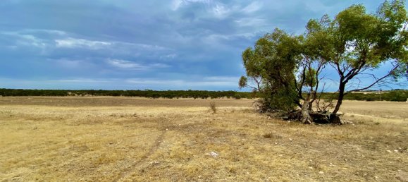 Terreno en Streaky Bay, Australia No. 1076 2
