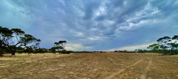 Terreno en Streaky Bay, Australia No. 1076 5