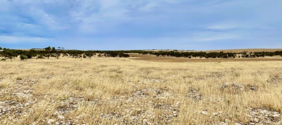 Terreno en Streaky Bay, Australia No. 1076 8