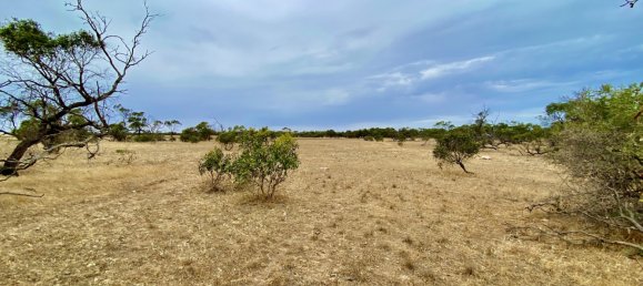 Terreno en Streaky Bay, Australia No. 1076 7