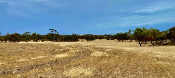 Terreno en Streaky Bay, Australia No. 1076 4
