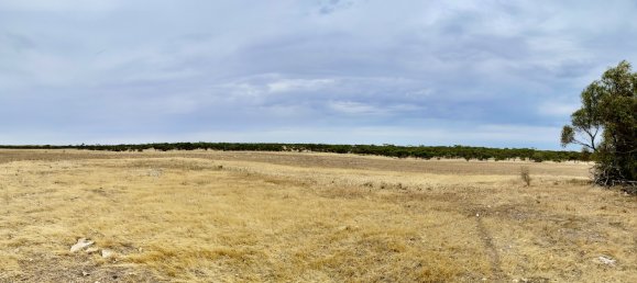 Terreno en Streaky Bay, Australia No. 1076 3