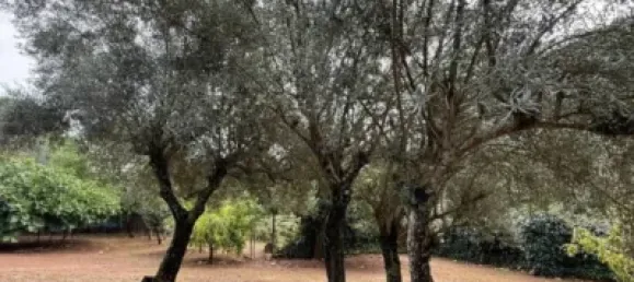 Casa de 4 dormitorios en Córdoba, Spain No. 142928 9