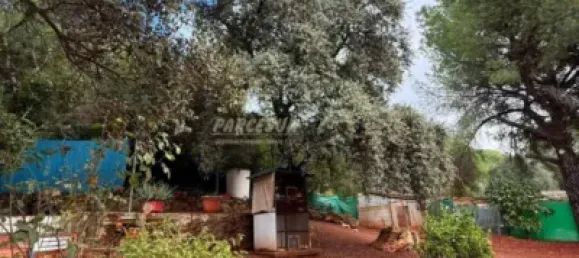 Casa de 4 dormitorios en Córdoba, Spain No. 142928 13