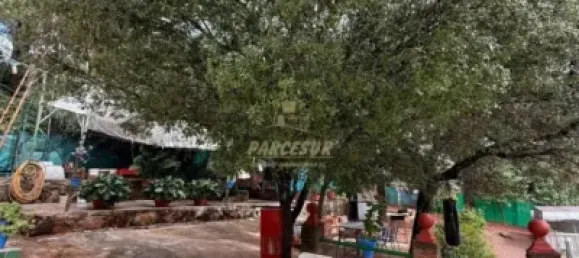 Casa de 4 dormitorios en Córdoba, Spain No. 142928 4