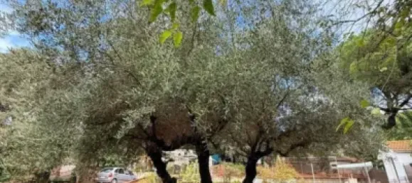 Casa de 4 dormitorios en Córdoba, Spain No. 142928 2