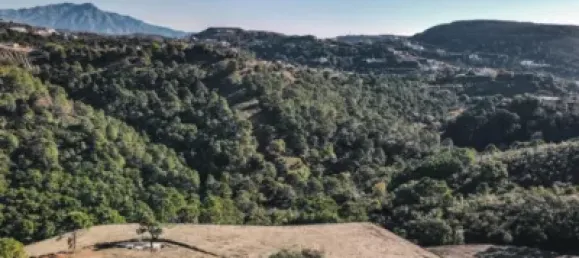  Land in Malaga, Spain No. 128164 2