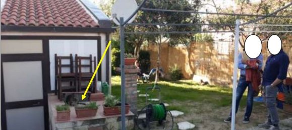 4 rooms Apartment in Scansano, Italy No. 191566 8