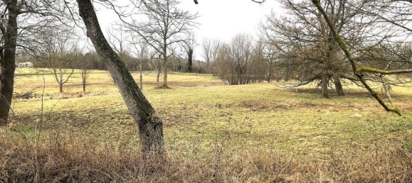 Замки и поместья с 12 комнатами в Зале, Германия № 116105 52