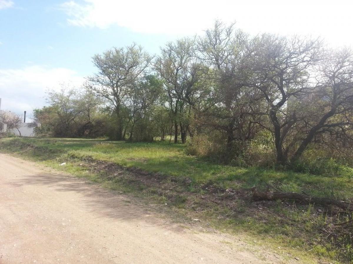  Land in Cordoba, Argentina No. 42038