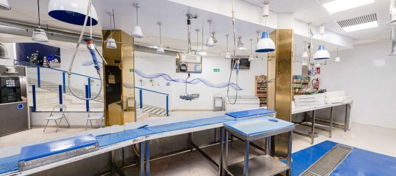 Propriété commerciale à Mostoles, Spain 376m² No. 89240 38