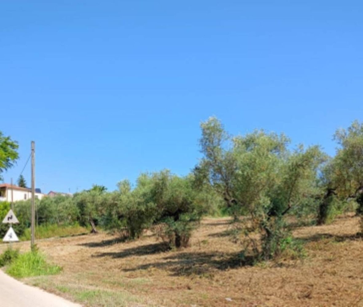 10306m² Land in Collecorvino, Italy No. 280345