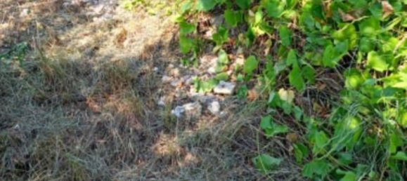 10306m² Land in Collecorvino, Italy No. 280345 11