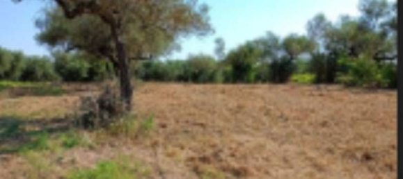 10306m² Land in Collecorvino, Italy No. 280345 3