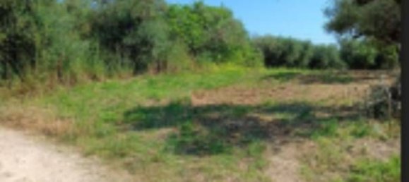 10306m² Land in Collecorvino, Italy No. 280345 12