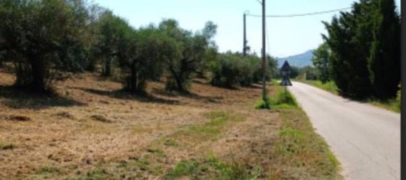 10306m² Land in Collecorvino, Italy No. 280345 2