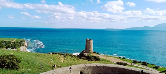 117543m² Land in Cadiz, Spain No. 166820 17