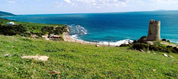 117543m² Land in Cadiz, Spain No. 166820 19