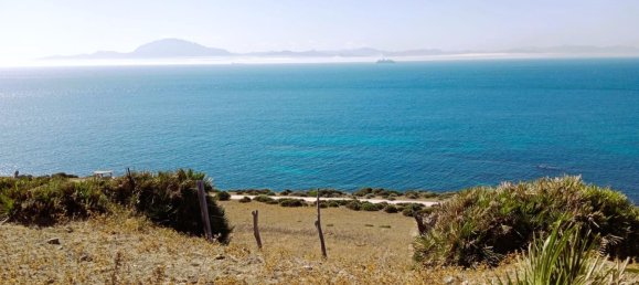 117543m² Land in Cadiz, Spain No. 166820 23