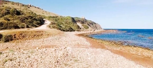 117543m² Land in Cadiz, Spain No. 166820 5