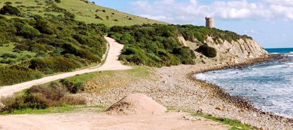 117543m² Land in Cadiz, Spain No. 166820 21