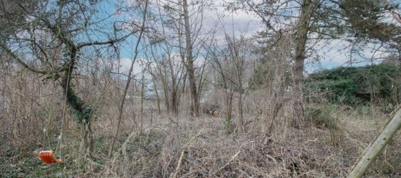 Grundstück in Rahnsdorf, Germany, Nr. 277469 9