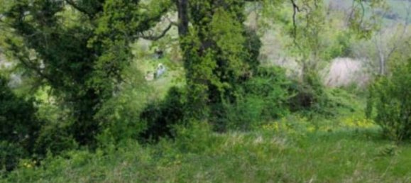  قطعة أرض في Borghi, Italy 29264متر مربع رقم 322223 6