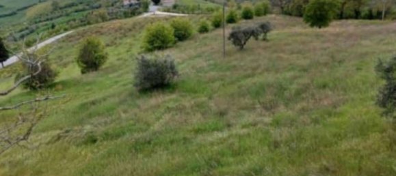  قطعة أرض في Borghi, Italy 29264متر مربع رقم 322223 3