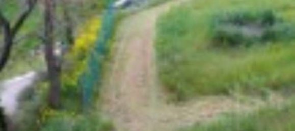  قطعة أرض في Borghi, Italy 29264متر مربع رقم 322223 10