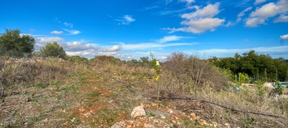 2 bedrooms Commercial property in Chania, Greece No. 8966 15