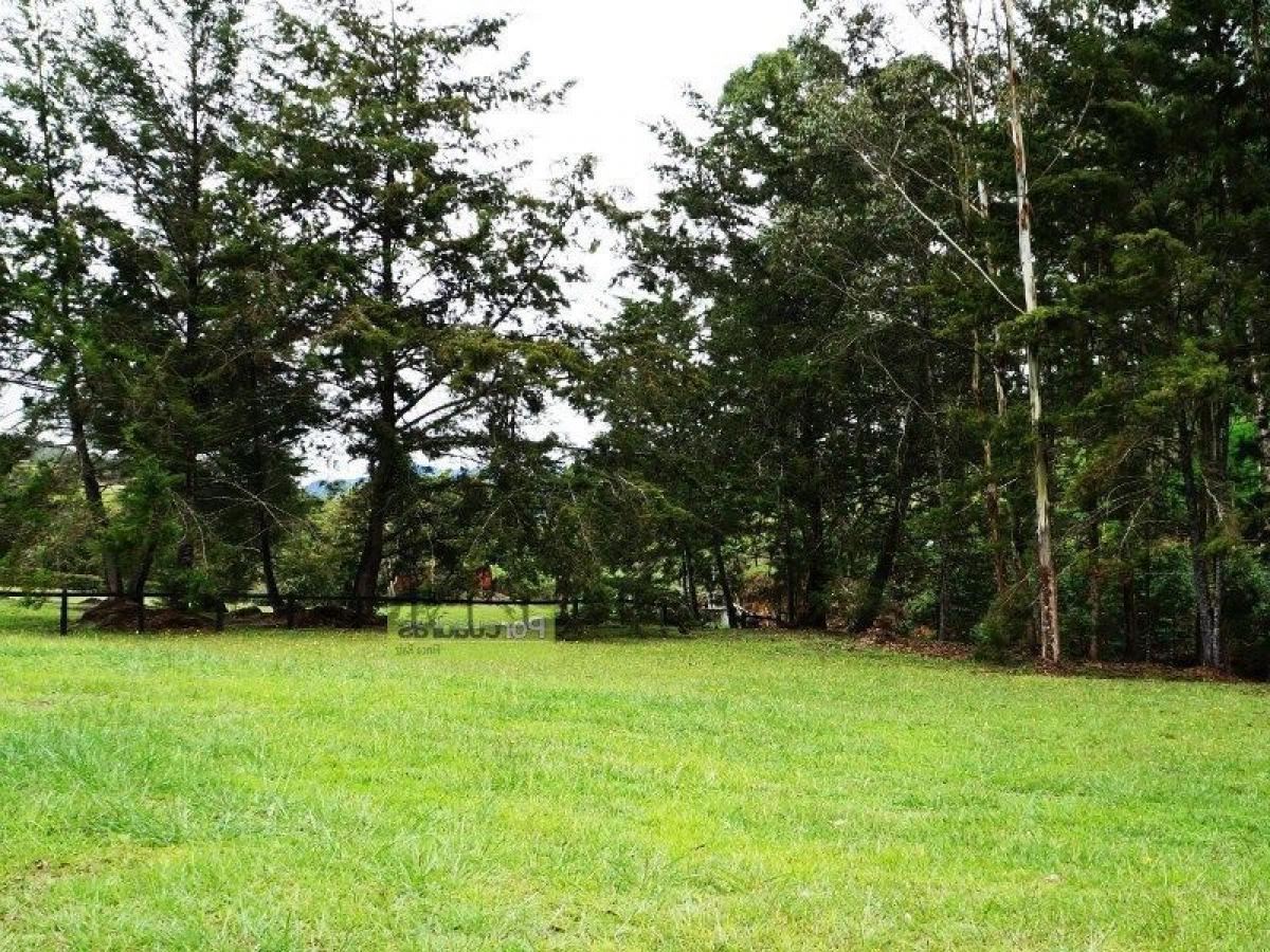  Land in Antioquia, Colombia No. 471