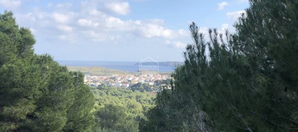 Land in Es Mercadal, Spain No. 3887 2