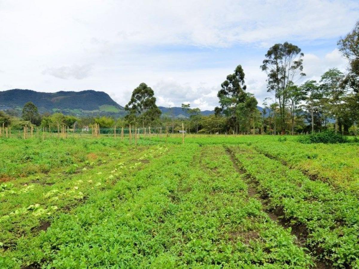  Land in Antioquia, Colombia No. 821